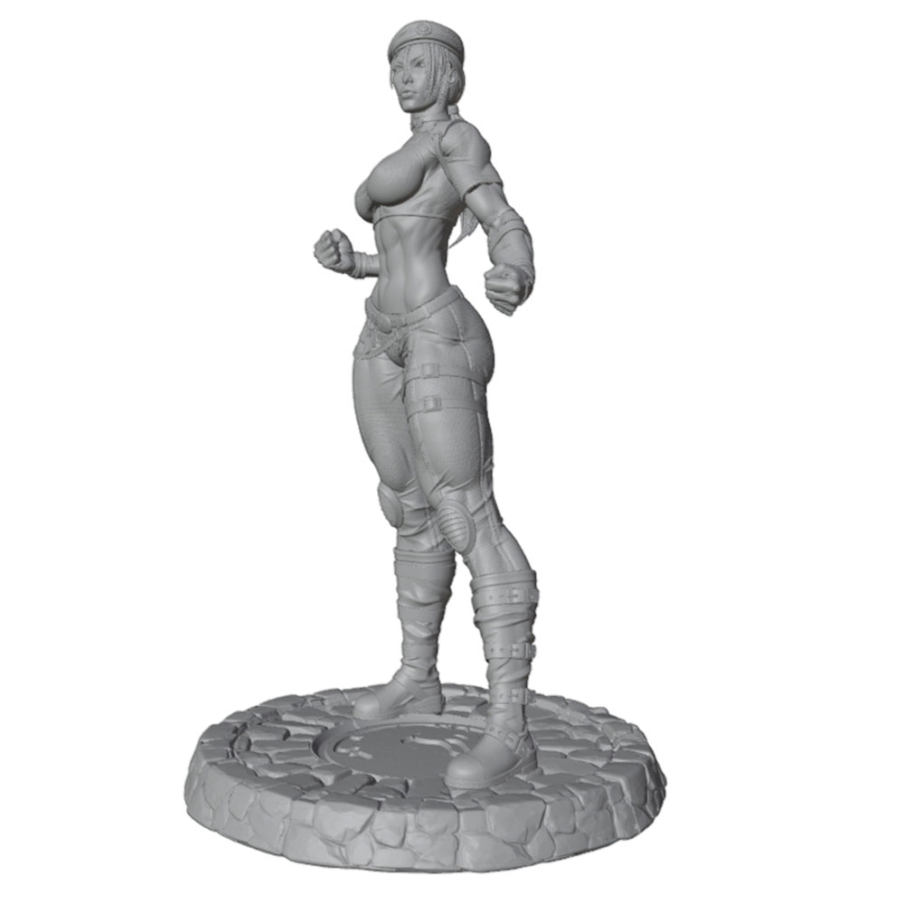 1/24/6 โมเดลตัวละครนักสู้หญิงส - 3D Printing Instructor บทวิจารณ์และราคา